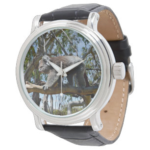 Reloj De Pulsera Oso de Koala, un gran macho australiano,