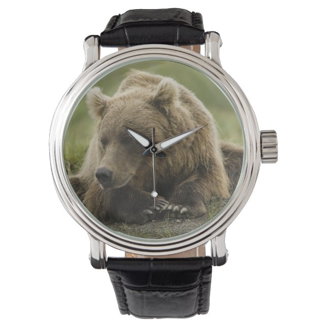 Reloj De Pulsera Oso marrón o oso pardo costero, Ursus (Anverso)