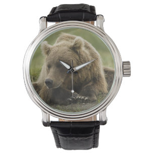 Reloj De Pulsera Oso pardo, o oso grizzly costero, Ursus