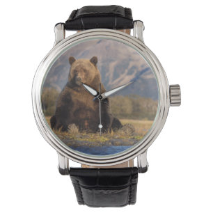 Reloj De Pulsera oso pardo, Ursus arctos, oso grizzly, Ursus