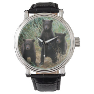 Reloj De Pulsera oso pardo, Ursus arctos, oso grizzly, Ursus 7 2