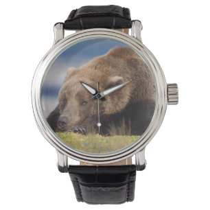 Reloj De Pulsera oso pardo, Ursus arctos, oso grizzly, Ursus 8