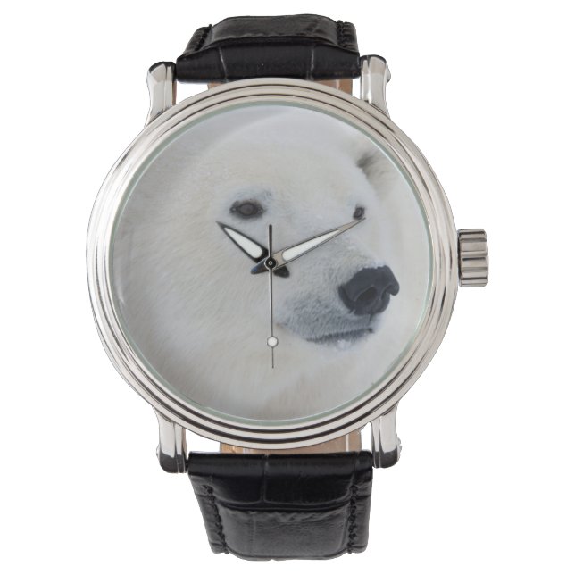 Reloj De Pulsera Oso Polar Churchill (Anverso)