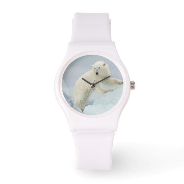Reloj De Pulsera Oso polar en verano (Anverso)