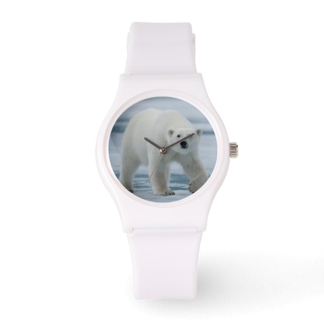 Reloj De Pulsera Oso polar, Ursus Maritimus, adulto (Anverso)