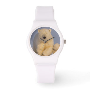 Reloj De Pulsera oso polar, Ursus maritimus, cerda con recién nacid