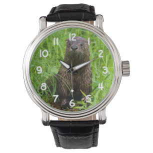 Reloj De Pulsera Otter de río inteligente