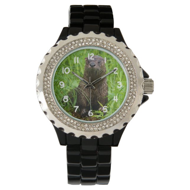 Reloj De Pulsera Otter fluvial inteligente (Anverso)