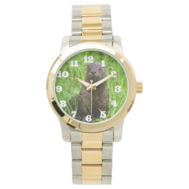 Reloj De Pulsera Otter fluvial inteligente (Anverso)