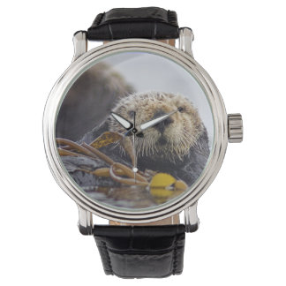 Reloj De Pulsera Otter Surprise Watch