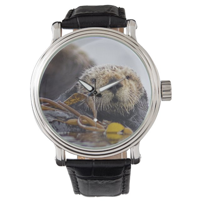 Reloj De Pulsera Otter Surprise Watch (Anverso)
