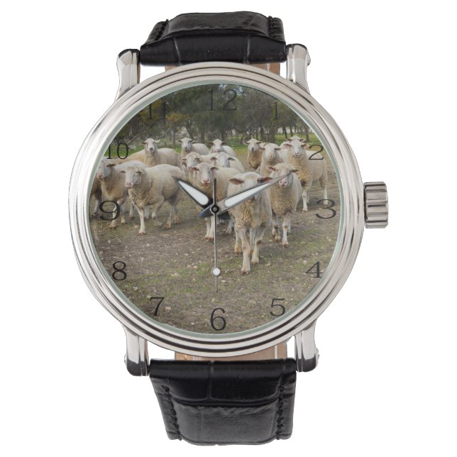 Reloj De Pulsera Oveja Lejana Blanca, (Anverso)