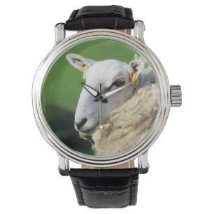 RELOJ DE PULSERA OVEJAS