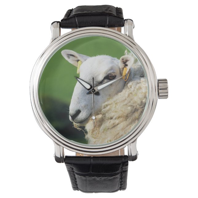 RELOJ DE PULSERA OVEJAS (Anverso)