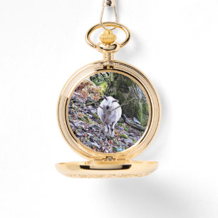 RELOJ DE PULSERA OVEJAS CUIDADAS