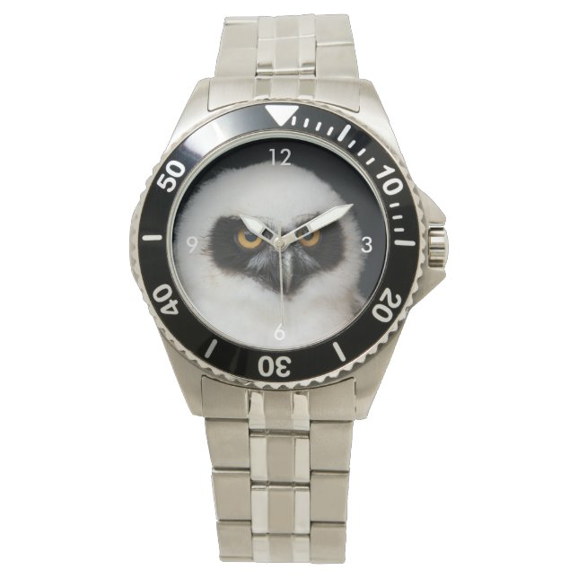 Reloj De Pulsera Owl_20180210_by_JAMFoto (Anverso)
