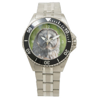 Reloj De Pulsera Owl_20180219_by_JAMFoto