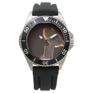 Reloj De Pulsera Owl Véase 11