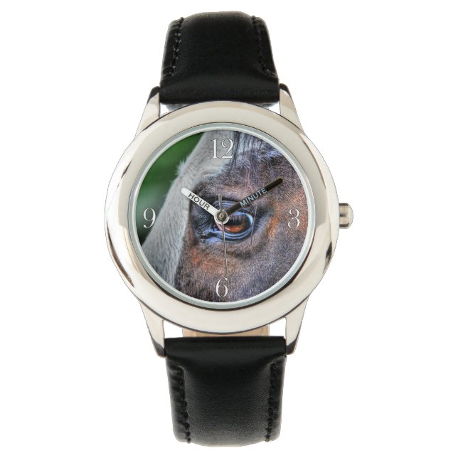 Reloj De Pulsera Paint Horse Eye Equine Photo Retrato (Anverso)