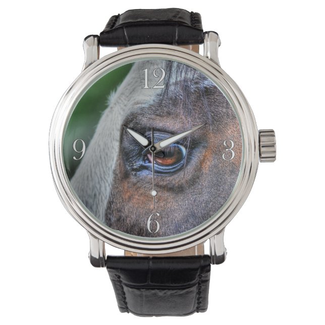 Reloj De Pulsera Paint Horse Eye Equine Photo Retrato (Anverso)