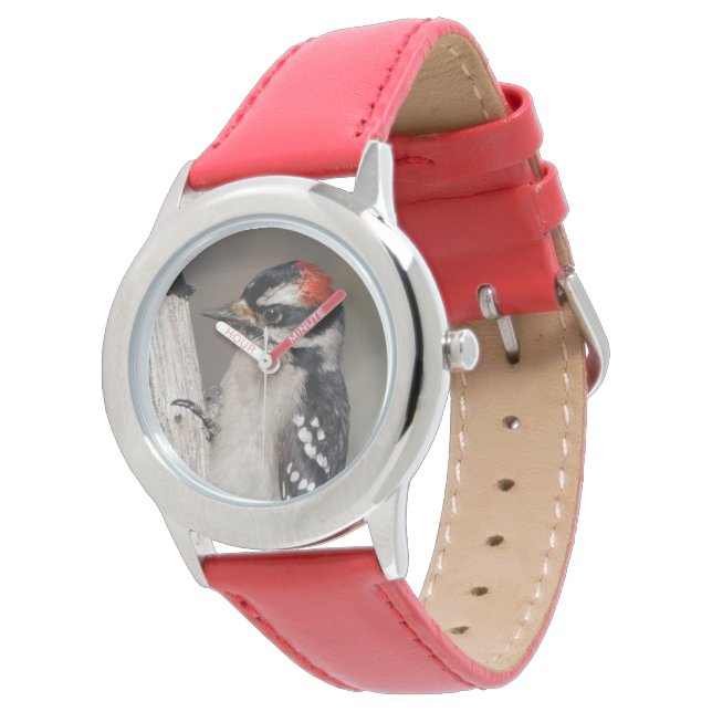 Reloj De Pulsera Pájaro carpintero lechoso en rama (Angular)