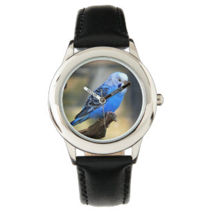 Reloj De Pulsera Pájaro de Budgie