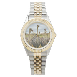 Reloj De Pulsera Pájaro de la avestruz