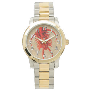 Reloj De Pulsera "Paleo-moda" Paraceraurus Fossil Trilobita