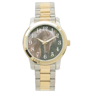 Reloj De Pulsera Palomino Paint Horse & Forest Photo