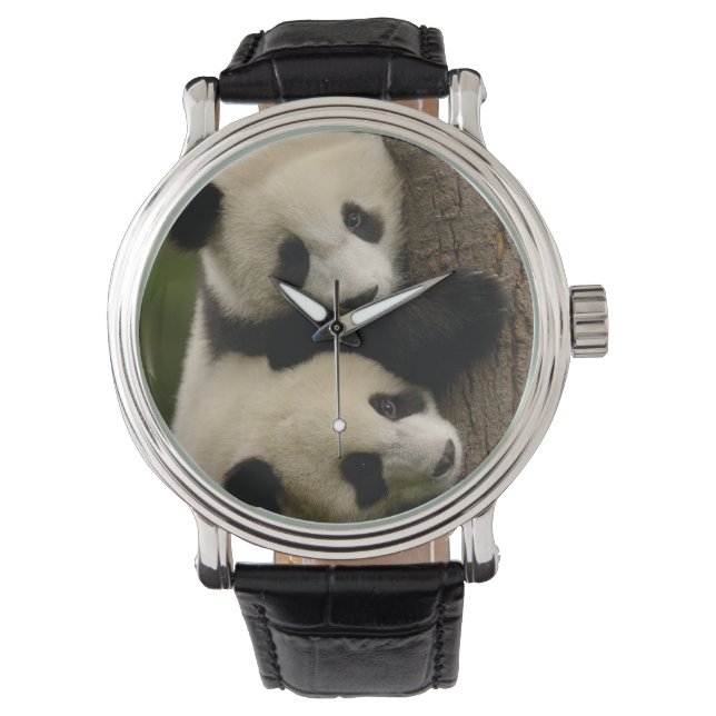 Reloj De Pulsera Panda bebés gigantes (Ailuropoda melanoleuca) 2 (Anverso)