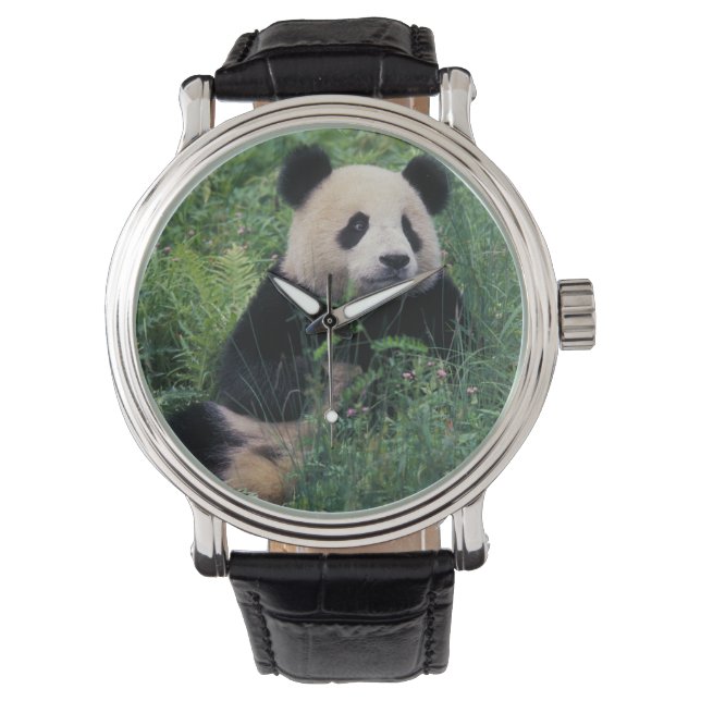 Reloj De Pulsera Panda gigante en la hierba, Valle Wolong, Sichuan (Anverso)