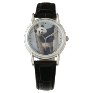 Reloj De Pulsera Panda joven que sube un árbol, China