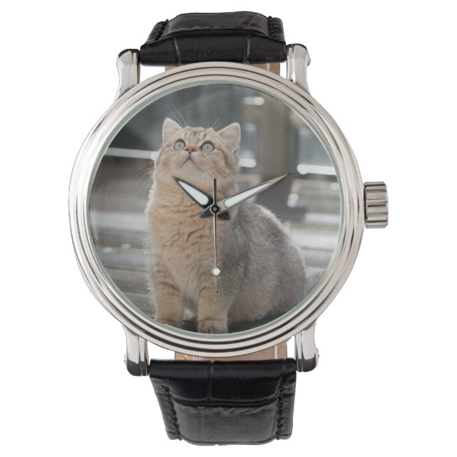 Reloj De Pulsera Pantalón corto británico, gato, Mascota (Anverso)