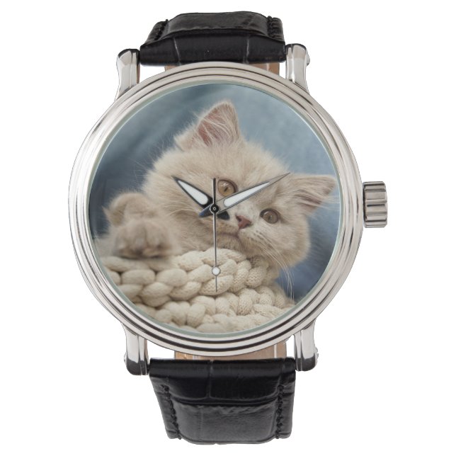 Reloj De Pulsera Pantalón corto británico, Kitten, Mascota (Anverso)