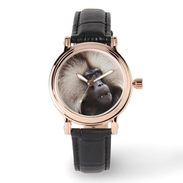 Reloj De Pulsera Papión Gelada, Etiopía (Anverso)