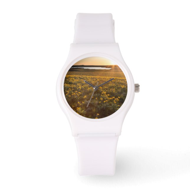 Reloj De Pulsera Paraje de flores silvestres de Balsamroot de hoja  (Anverso)