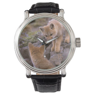 Reloj De Pulsera Pareja de Fox gris sudamericana (Lycalopex griseus