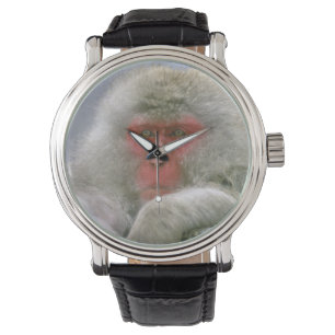 Reloj De Pulsera Pareja de monos de nieve, macaco japonés,