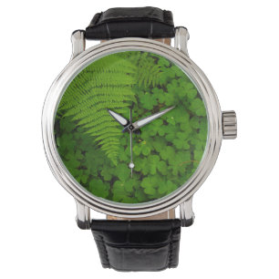 Reloj De Pulsera Parque Estatal Humboldt Redwood