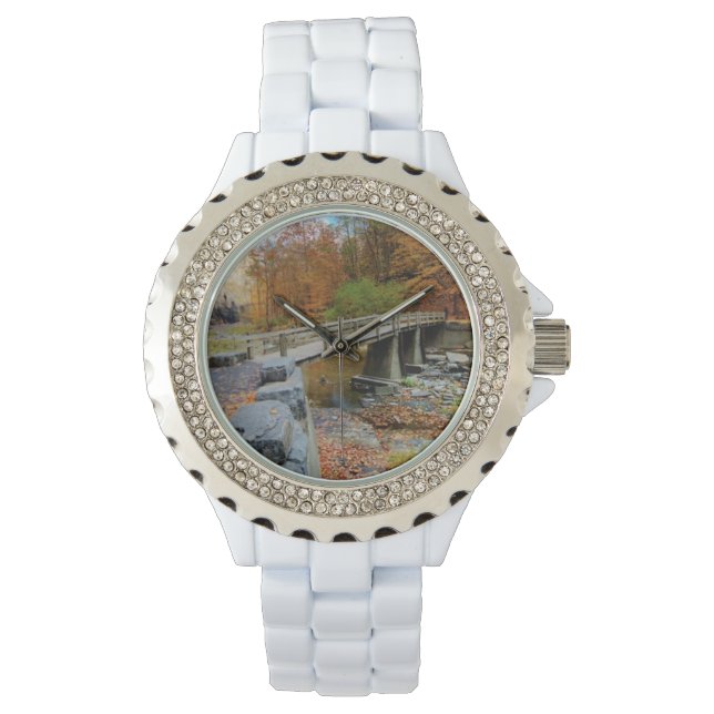 Reloj De Pulsera Parque estatal Taughannock Falls (Anverso)