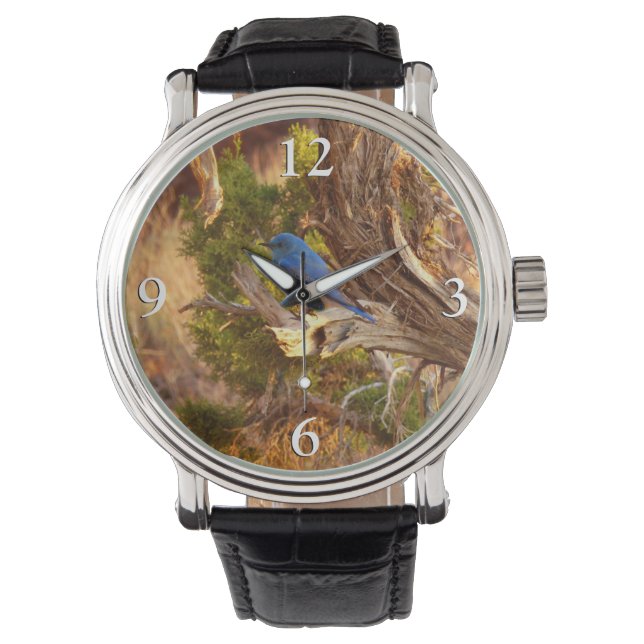 Reloj De Pulsera Parque nacional de Arches (Anverso)