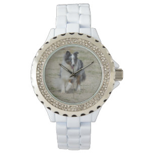 Reloj De Pulsera Pastor azul del australiano de Merle