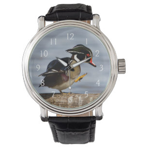 Reloj De Pulsera Pato de Carolina en tronco en humedal