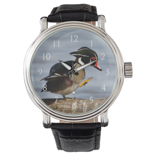 Reloj De Pulsera Pato de Carolina en tronco en humedal (Anverso)