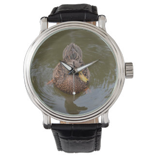 Reloj De Pulsera pato de mallard femenino frente al frente
