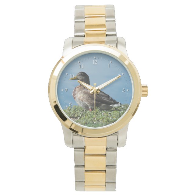 Reloj De Pulsera Pato de Water Watch (Anverso)