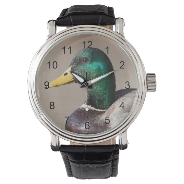 Reloj De Pulsera Pato mallard (Anverso)