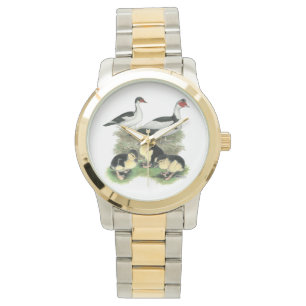 Reloj De Pulsera Patos Muscovy de Patas Negras Familia