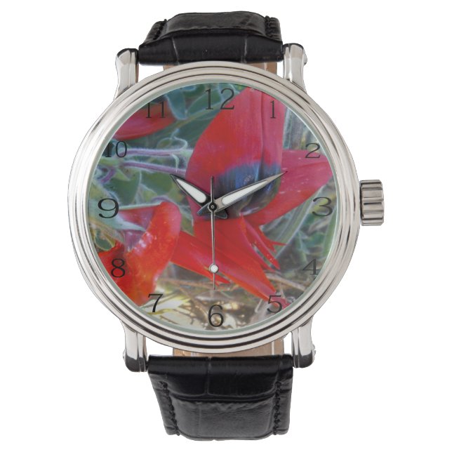 Reloj De Pulsera Pea del desierto australiano Sturts, (Anverso)