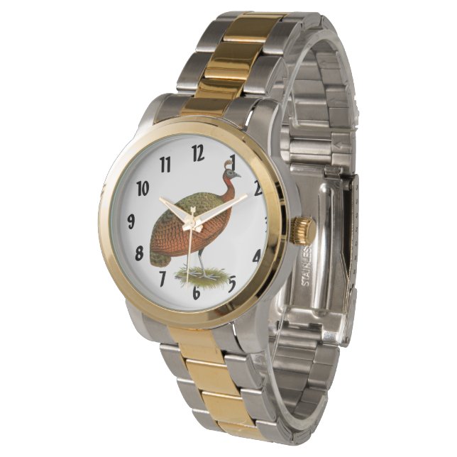 Reloj De Pulsera Peafowl: Congo Peahen (Angular)